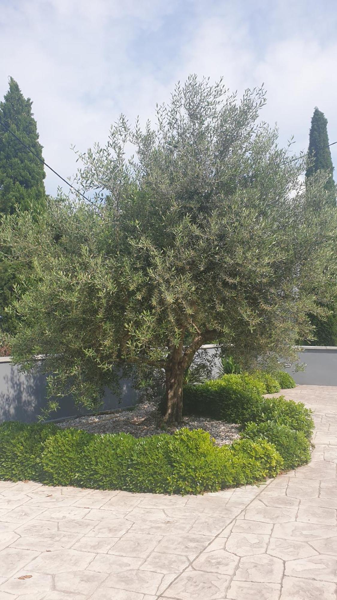 Apartma Pata, Koper - Cezarji Zewnętrze zdjęcie